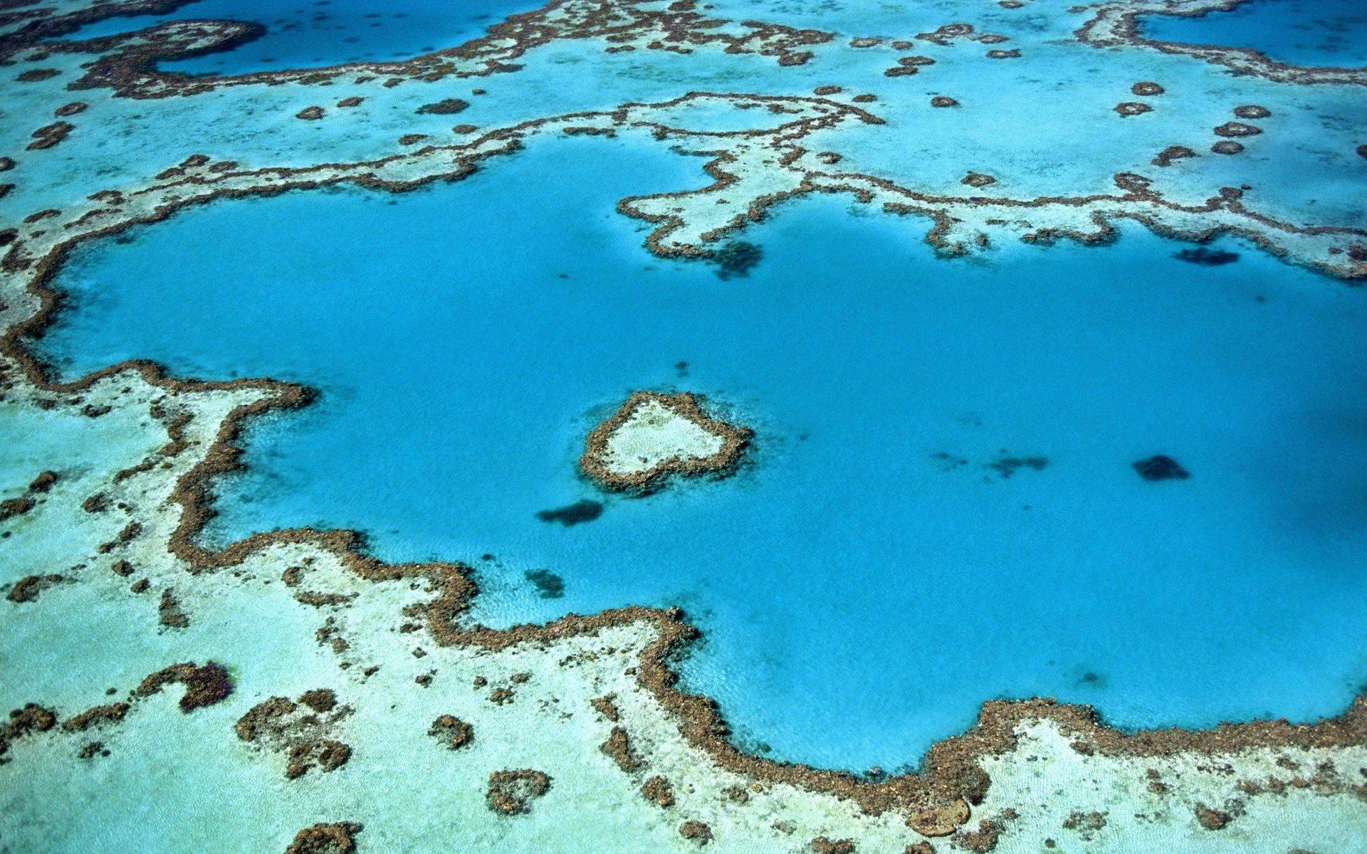 Killing The Great Barrier Reef